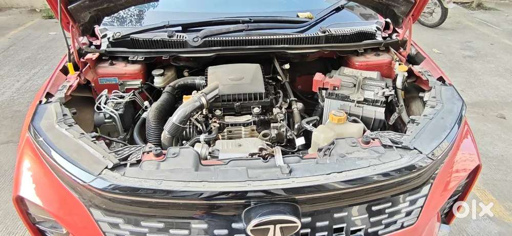 Bh Registered Tata Curvv Creative S Plus 2025