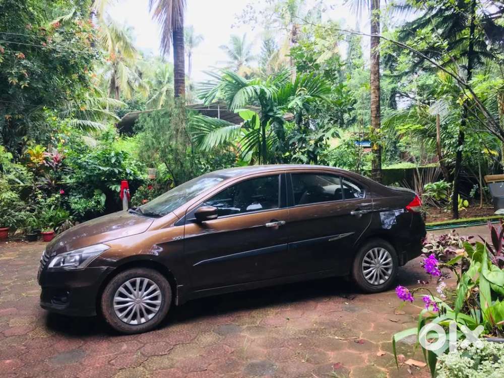 Maruti Suzuki Ciaz 2015 Petrol Good Condition