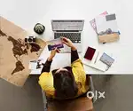 Travel sale  executive