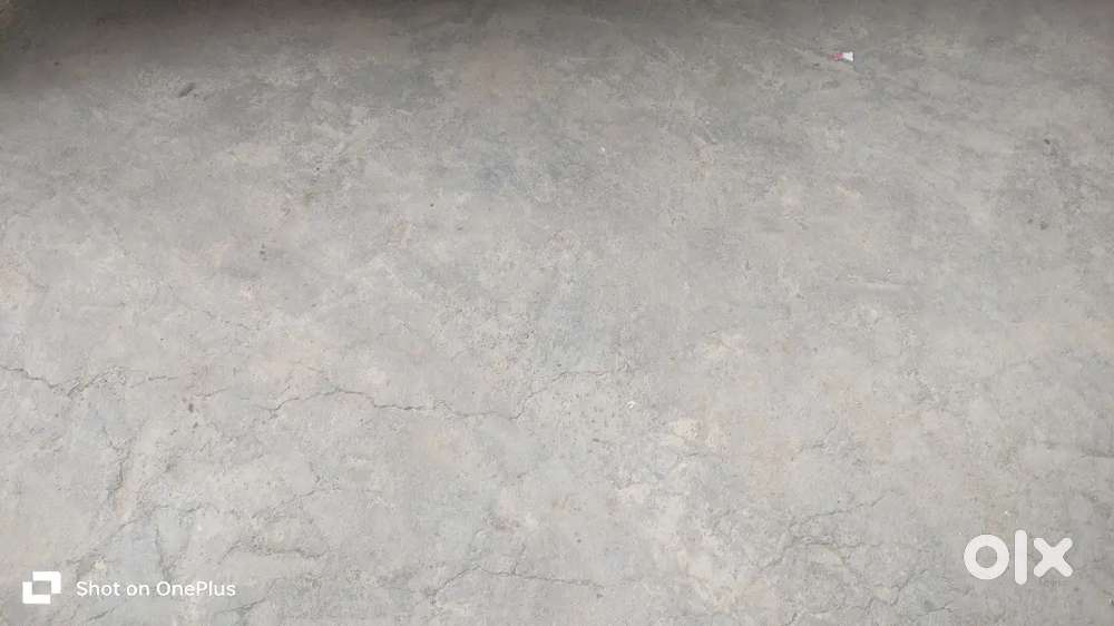 Maruti Suzuki Baleno 2023