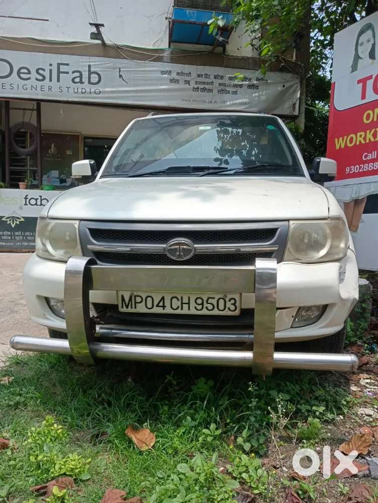 White Safari 2011 Model