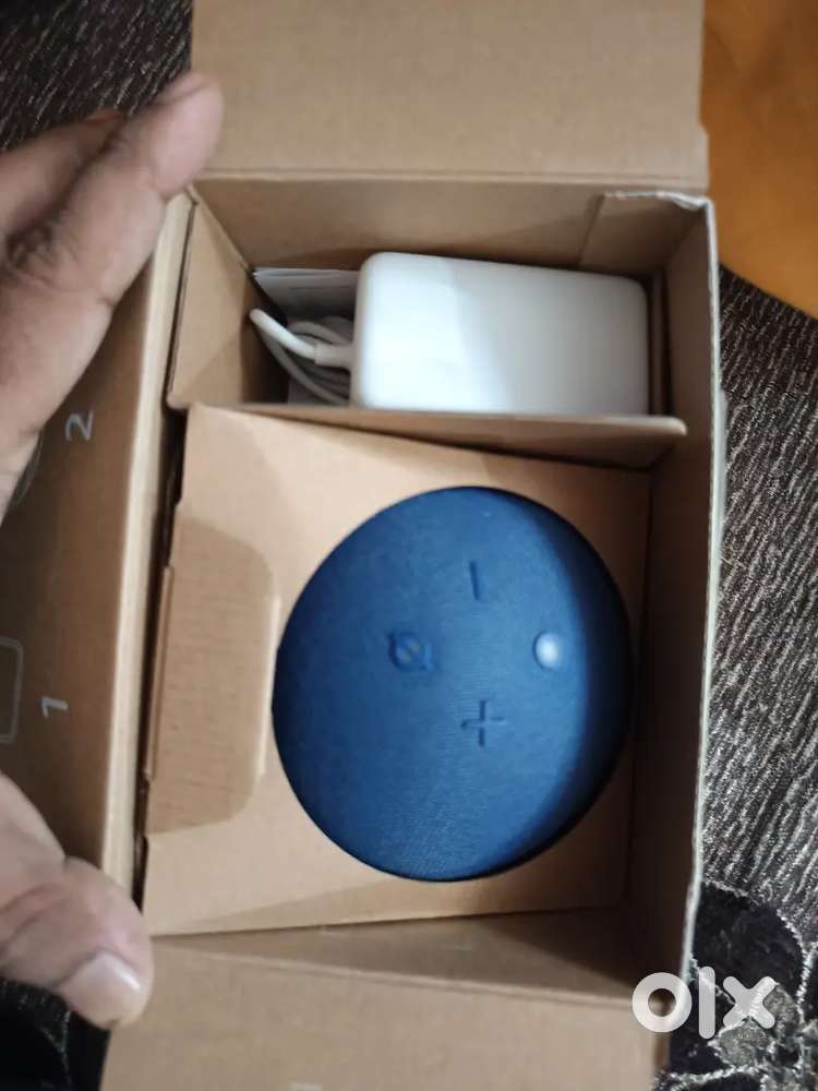 Alexa ball