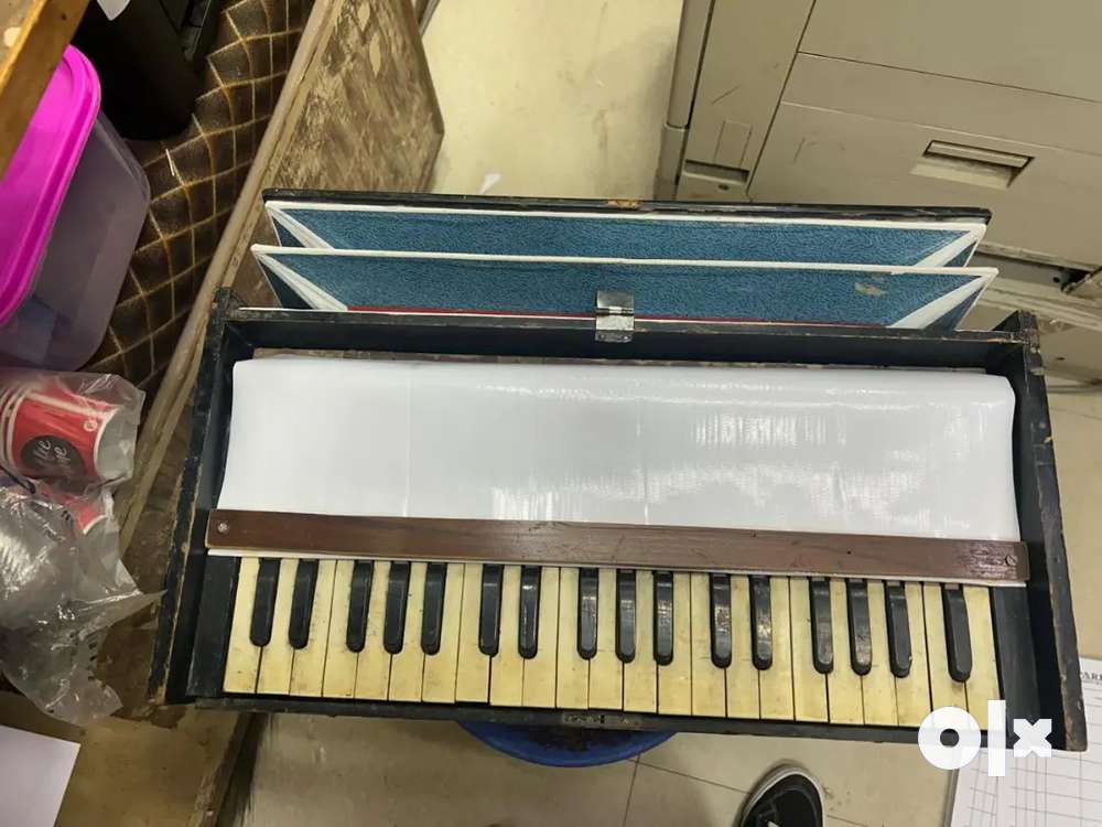 Male harmonium deals