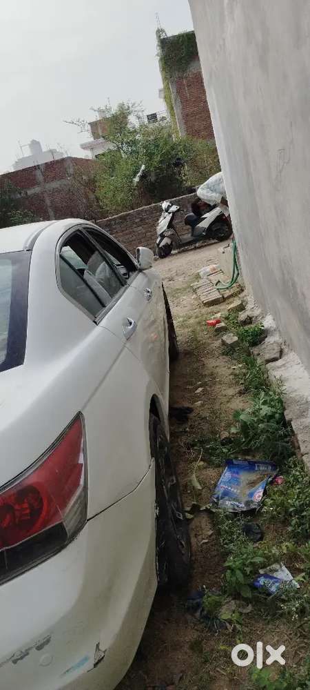 Honda Accord Petrol 2010