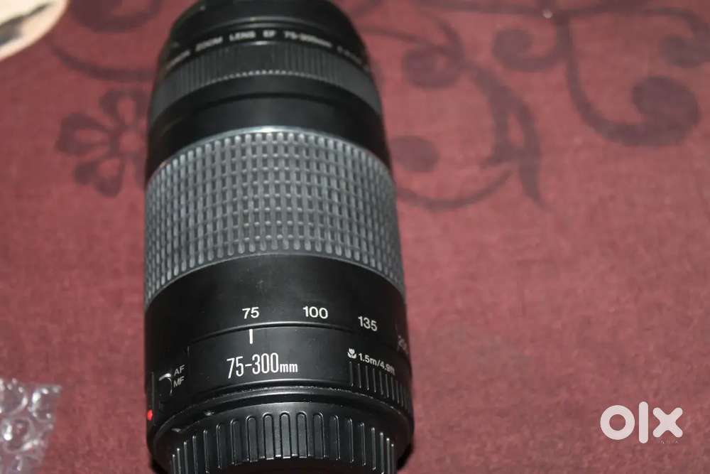 Canon camera lens 75-300