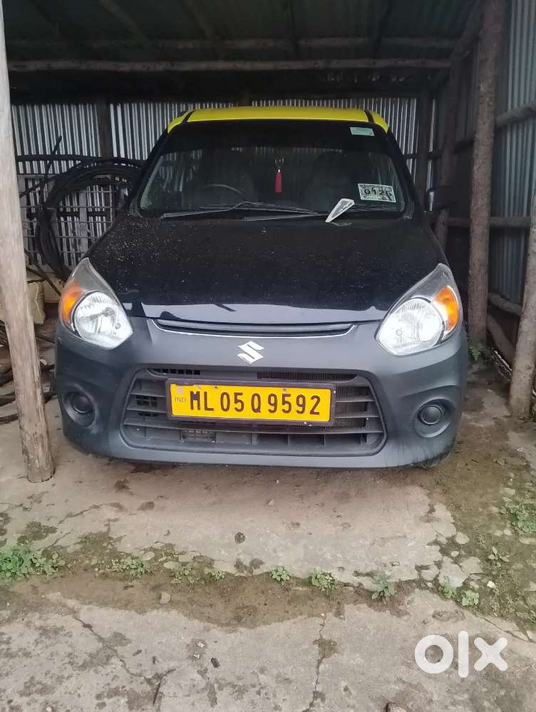 Maruti Suzuki Alto 800 2016 Good Condition