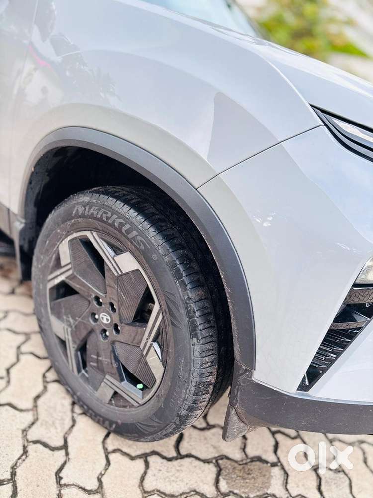 Harrier Ev 2025