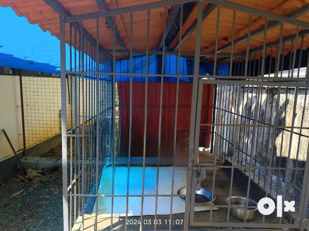 Puppy 2024 cage olx