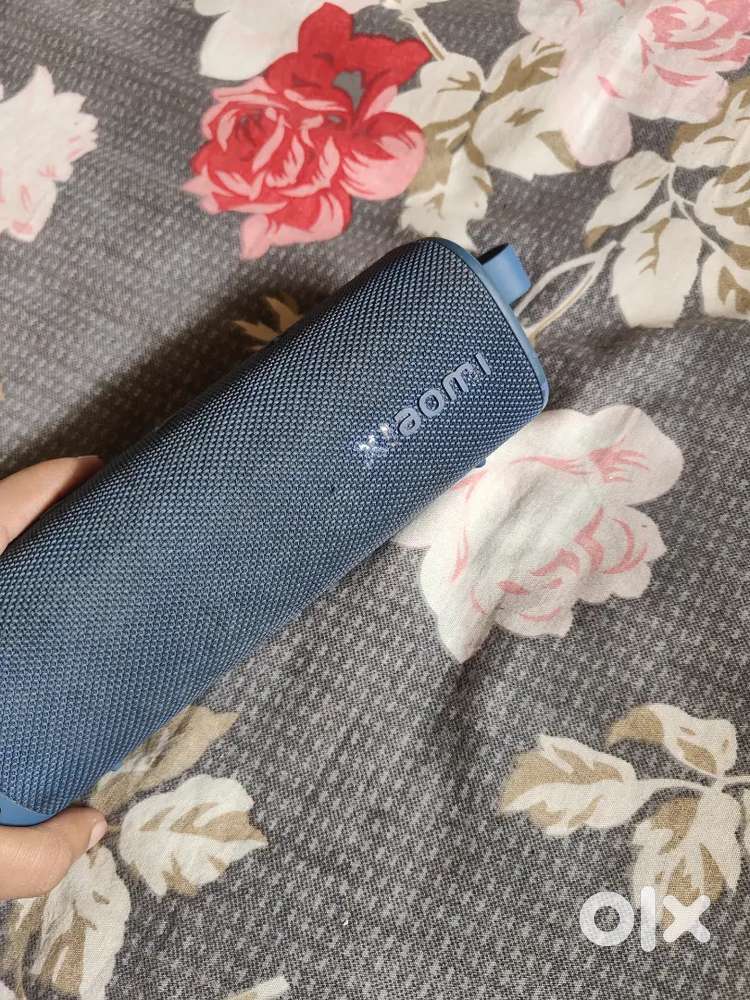Xiaomi sound outdoor 30 watt