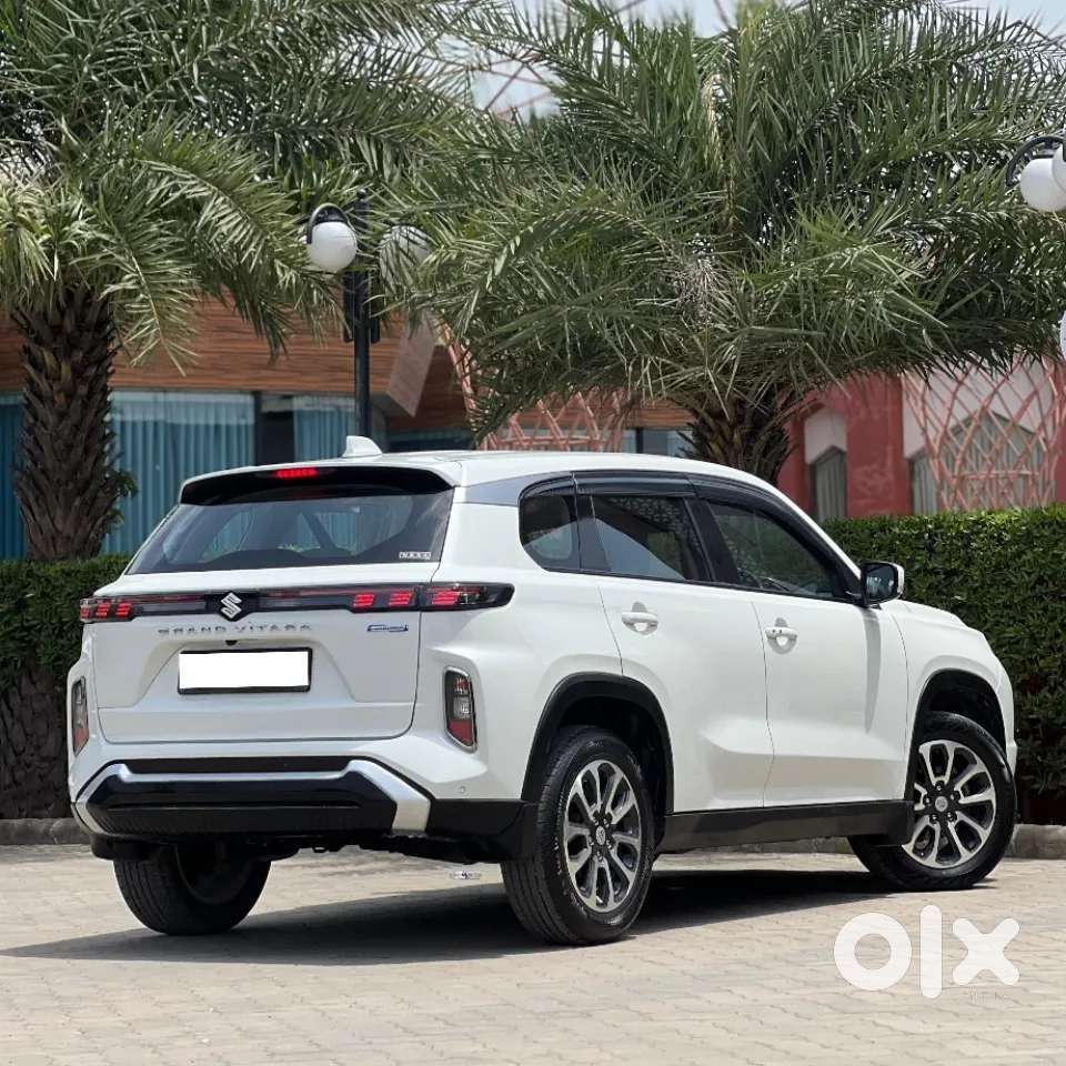 Maruti Suzuki Grand Vitara 1.5 Delta Smart Hybrid, 2023, Petrol