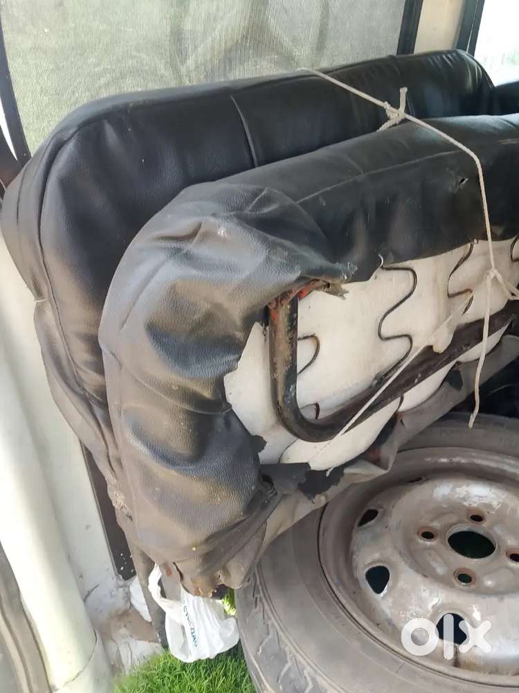 Echo White With Steekar