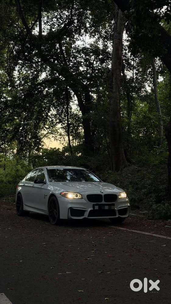 Bmw 5 Series 2013