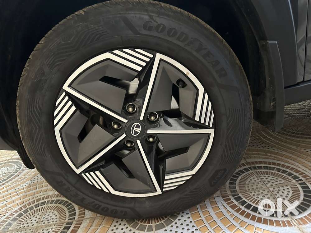 Tata Nexon Petrol 2024