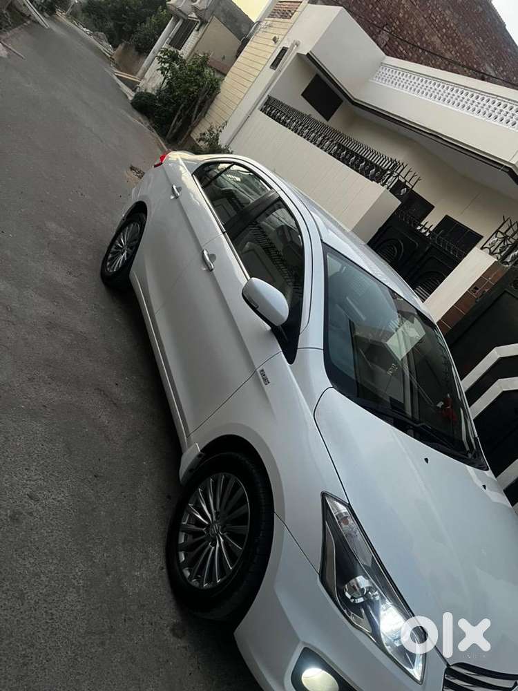 Maruti Suzuki Ciaz White Top Alpha In Brand New Conditio