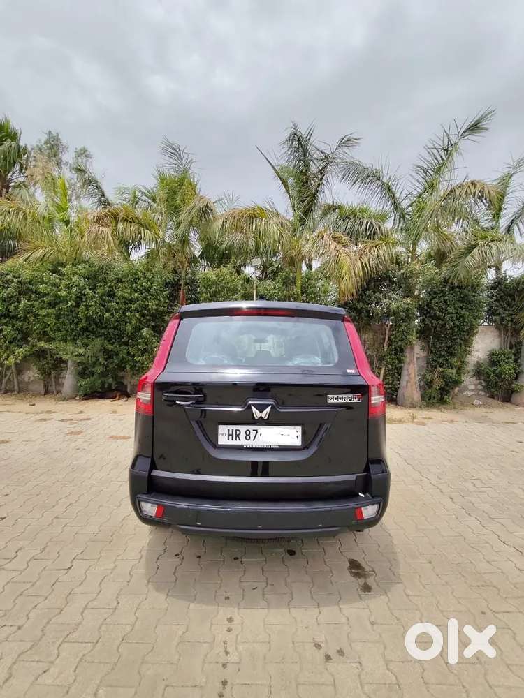 Brand New Car