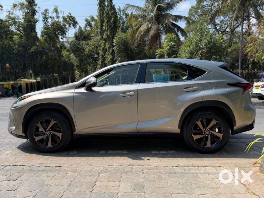Lexus Nx Lexus-nx-300h-luxury, 2019, Petrol