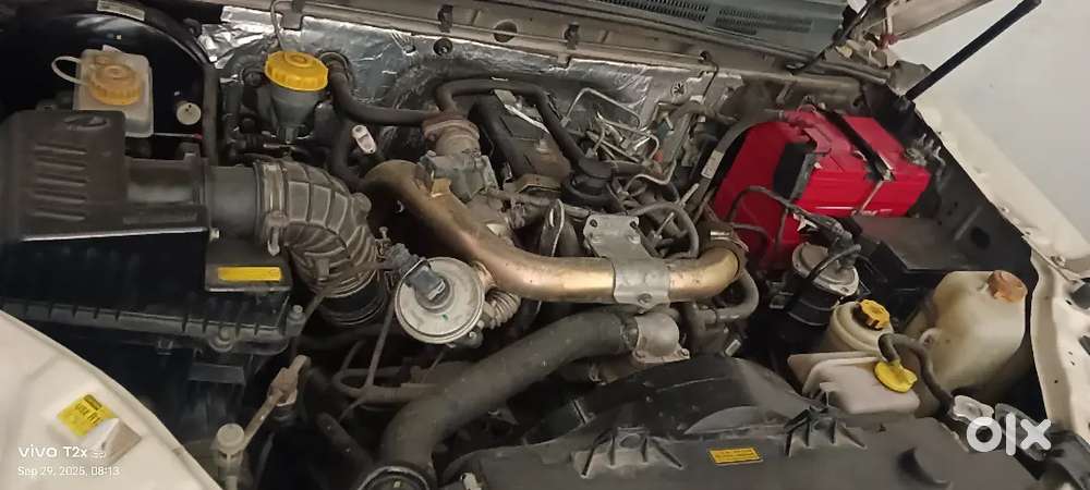 Argent Sell Money Problam