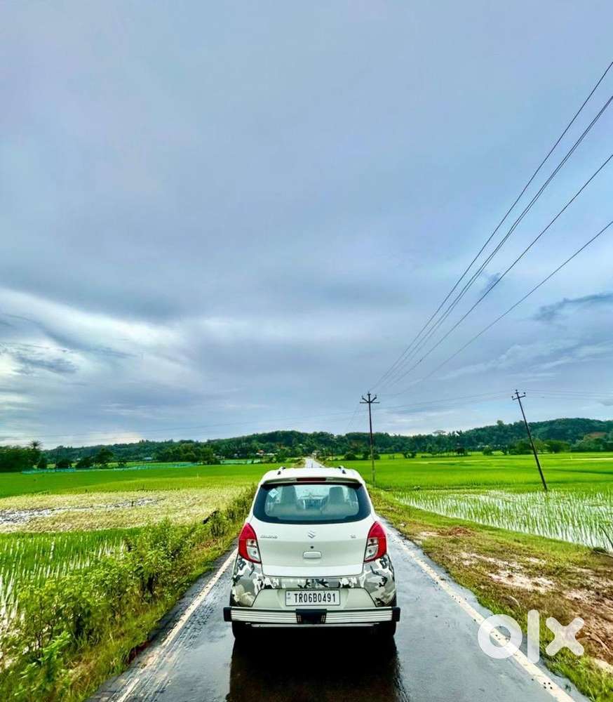 Maruti Suzuki Celerio Cng & Hybrids 43500 Km Driven Only Personal Use