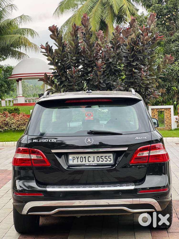 Excellent Condition Ml 350 : Family Car