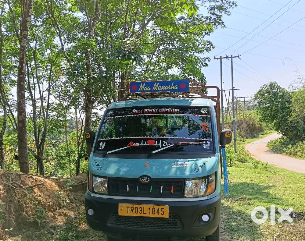 Mahindra Supro Diesel 2024