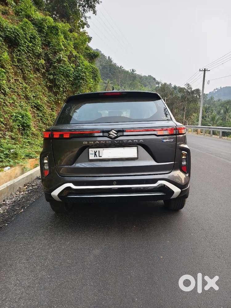 Maruti Suzuki Grand Vitara 2024 Petrol 8500 Km Driven