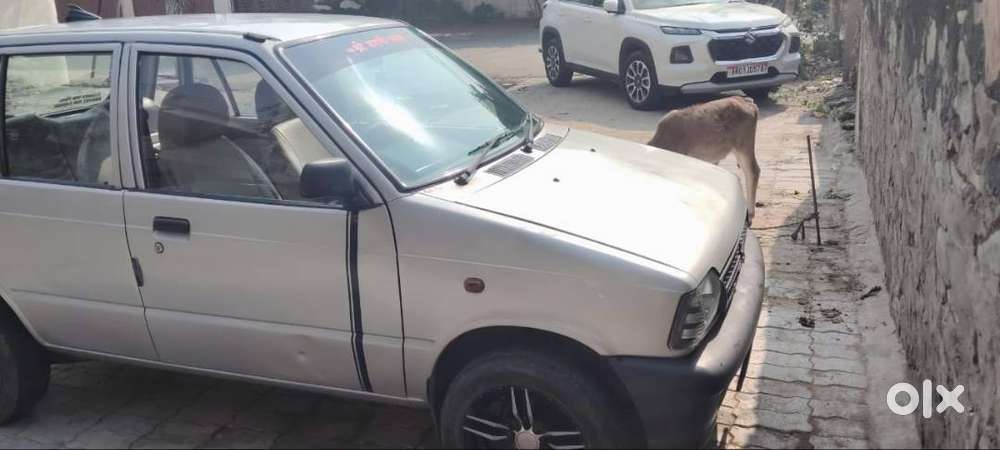 Maruti Suzuki 800 2010