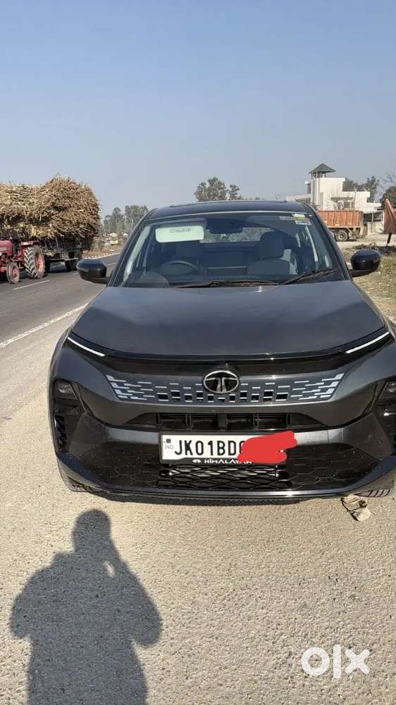 Tata Curvv 2025 Diesel 8500 Km Driven