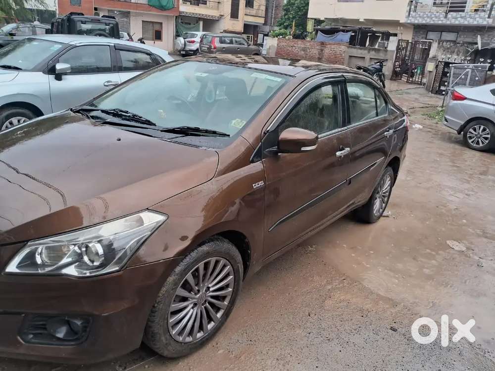 Maruti Suzuki Ciaz Zdi Plus Shvs 2017