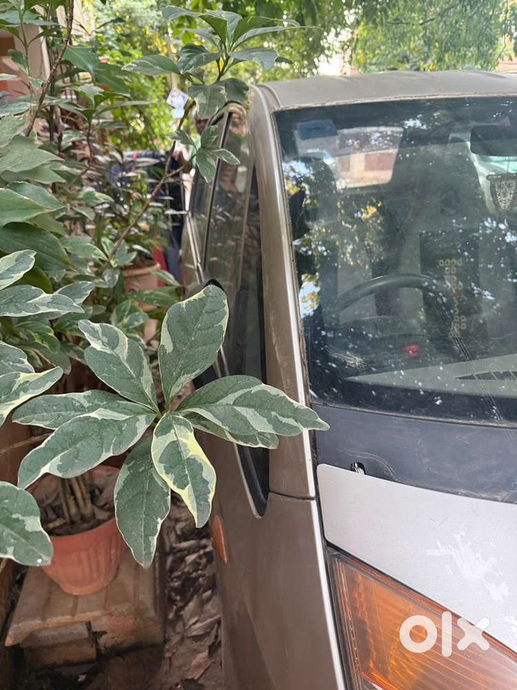 Tata Nano Petrol 2010