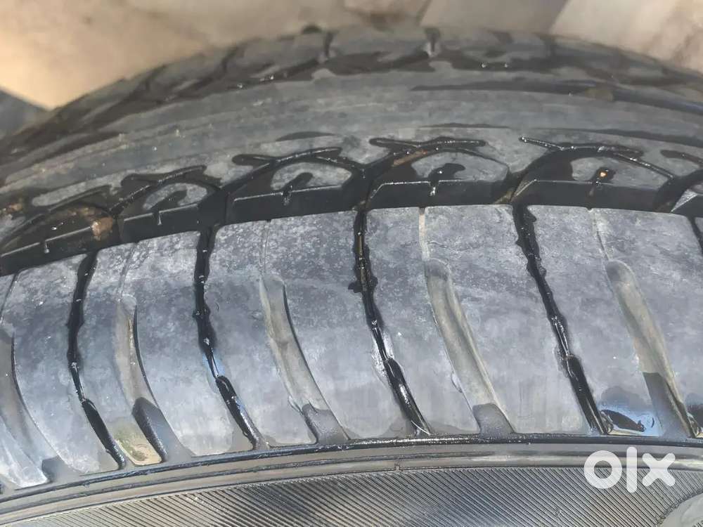 Ford Figo Well Menten Car