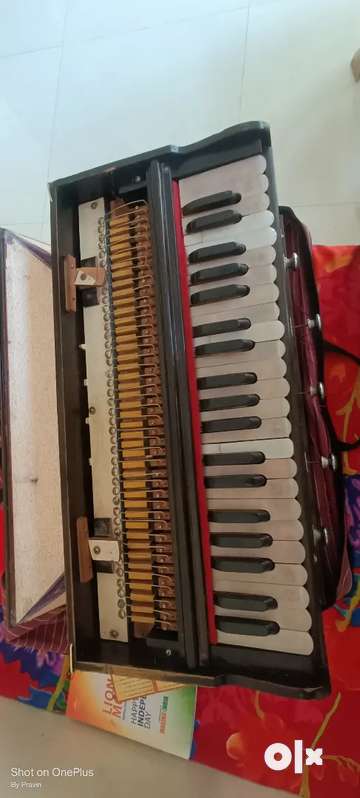 Harmonium for outlet sale olx