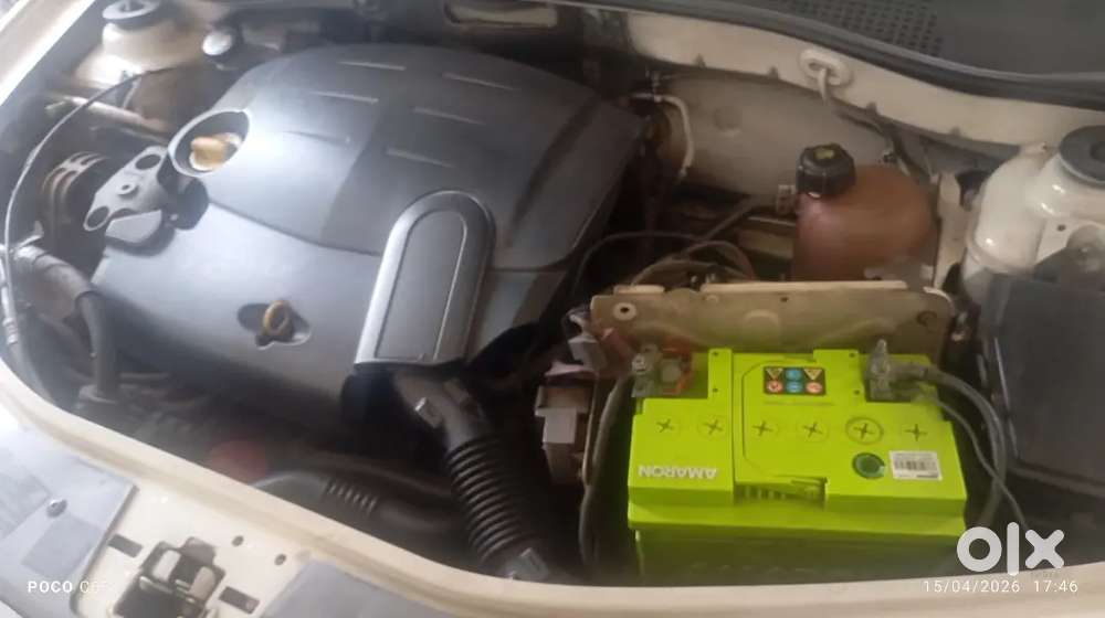 All Pepers Clear, Good And Neat