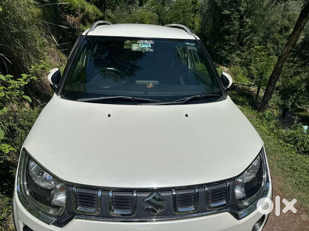 Maruti Suzuki Ignis Petrol 2020