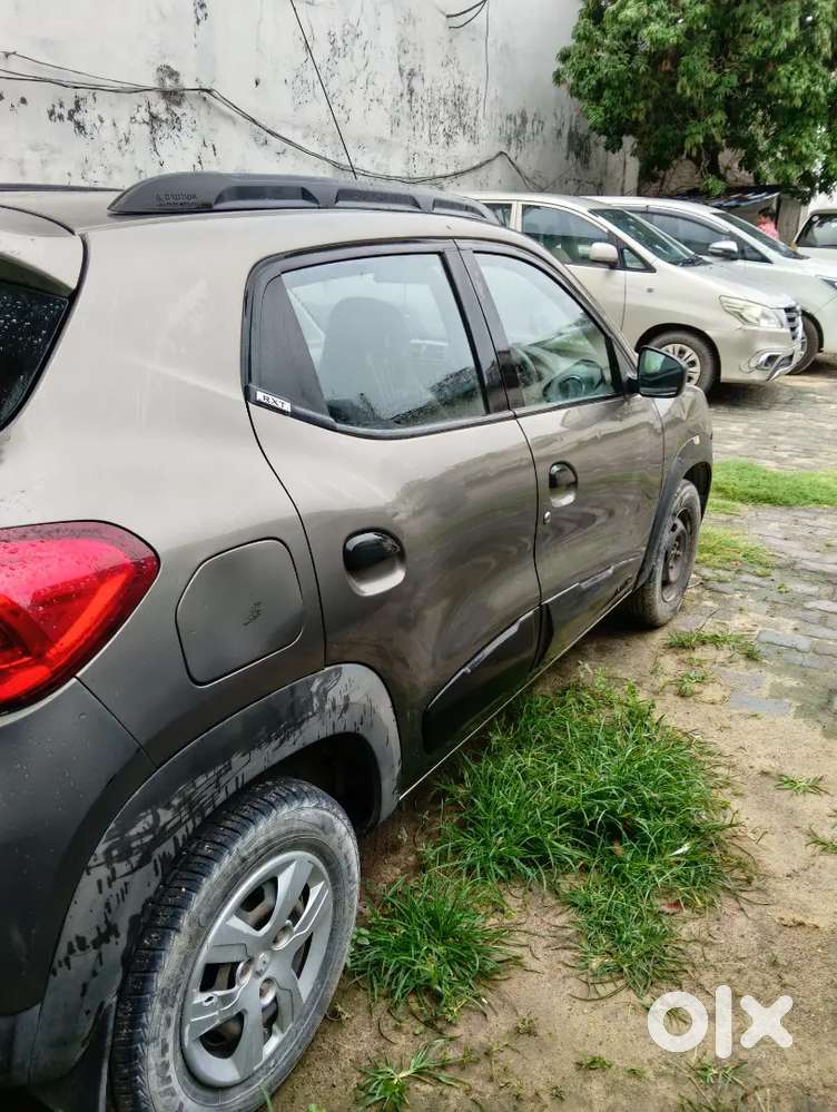 पेड़ले गंज गोरखपुर