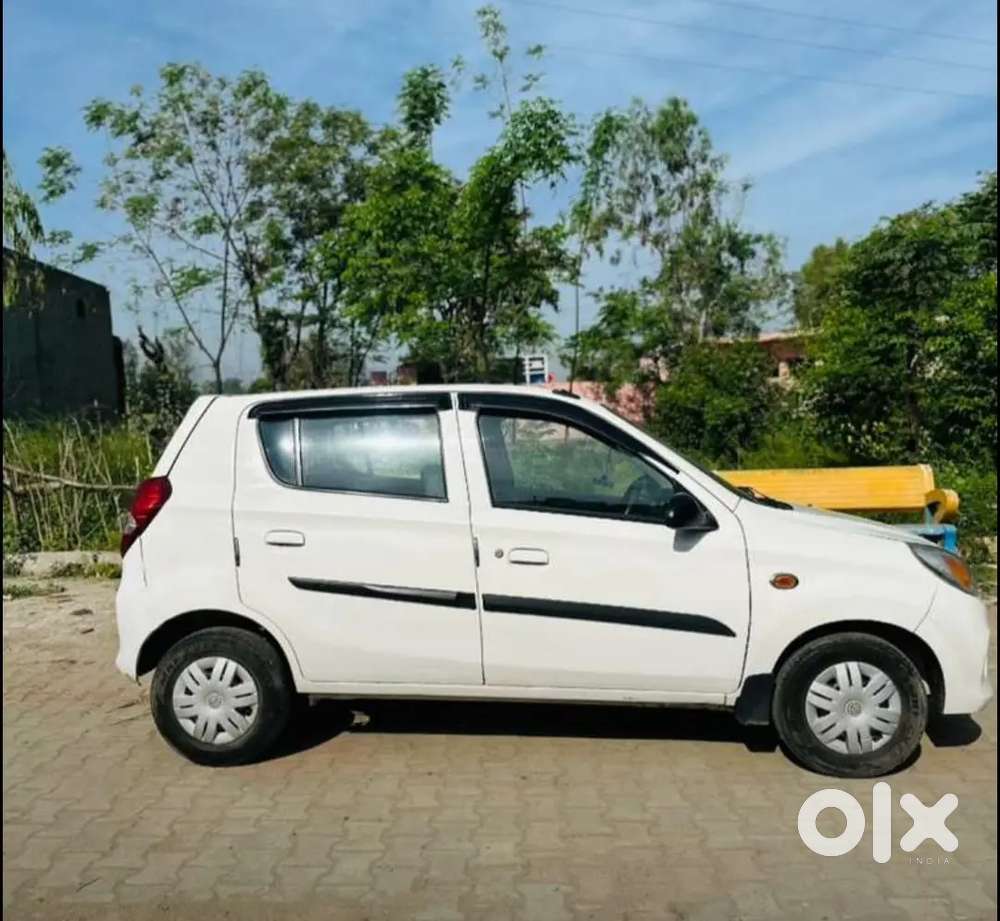 Good Conditions Gaddi