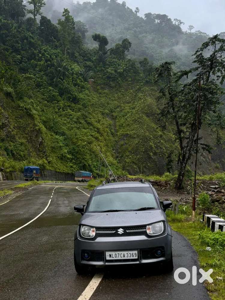 2019 Maruti Suzuki Ignis Delta