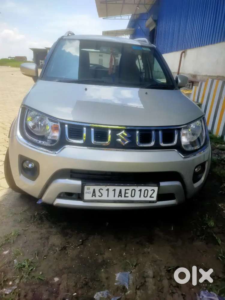 Maruti Suzuki Ignis 2024 Km Driven