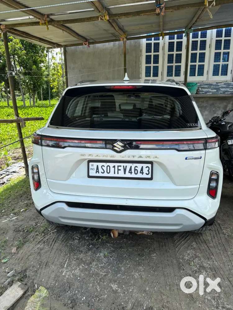 Maruti Suzuki Vitara 2024