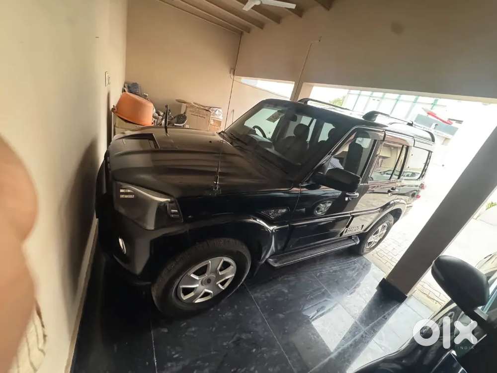 Very Neat And Clean Condition Car Less Driven Less Used Alok Ppf Done