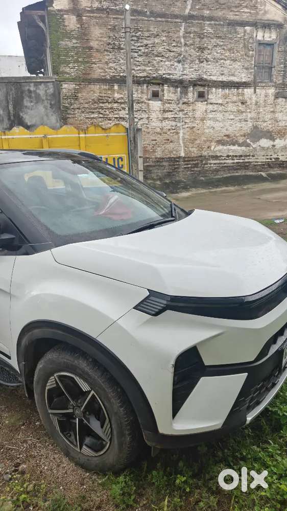 Tata Nexon 2024 Model Fearless Plus Red Dark