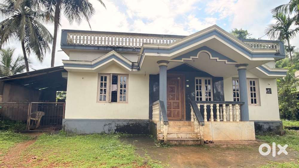 3 BHK House for Rent – Spacious & Lush Green Property- IRUVATTUR PADAV