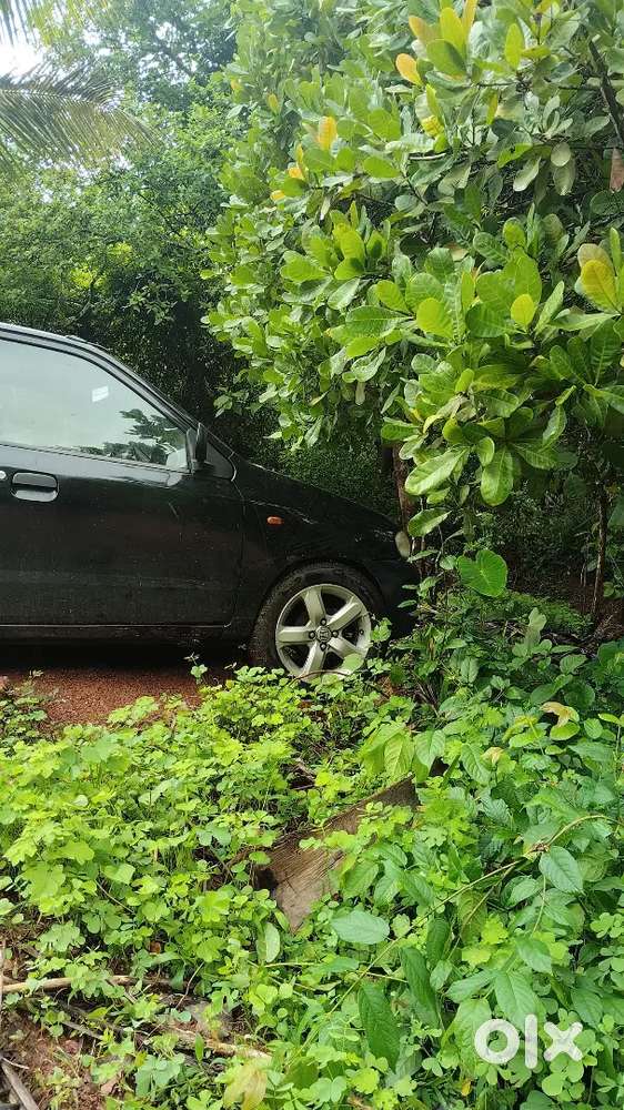 2004 Maruti Suzuki Alto 800 Petrol