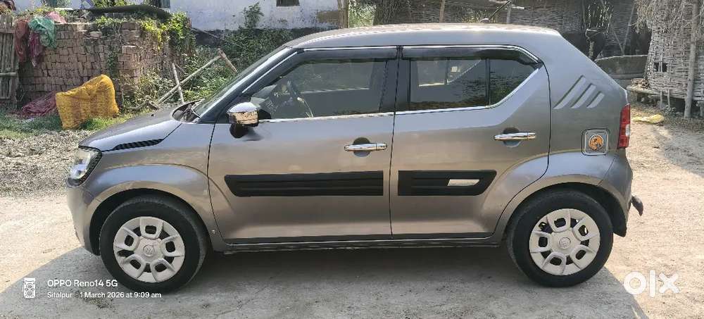 Igins Petrol 2019 Sigma