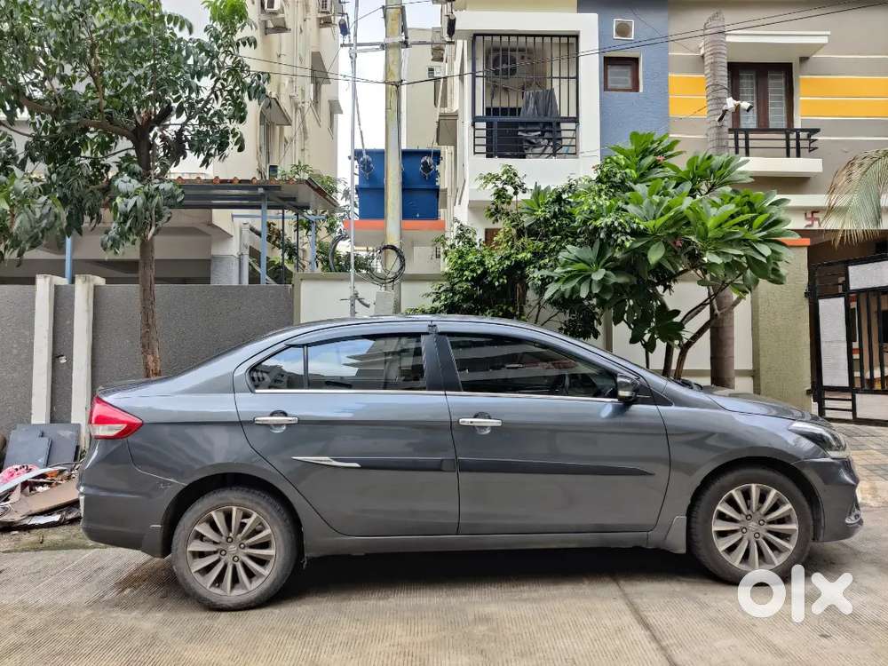Maruti Suzuki Ciaz Alpha 2024