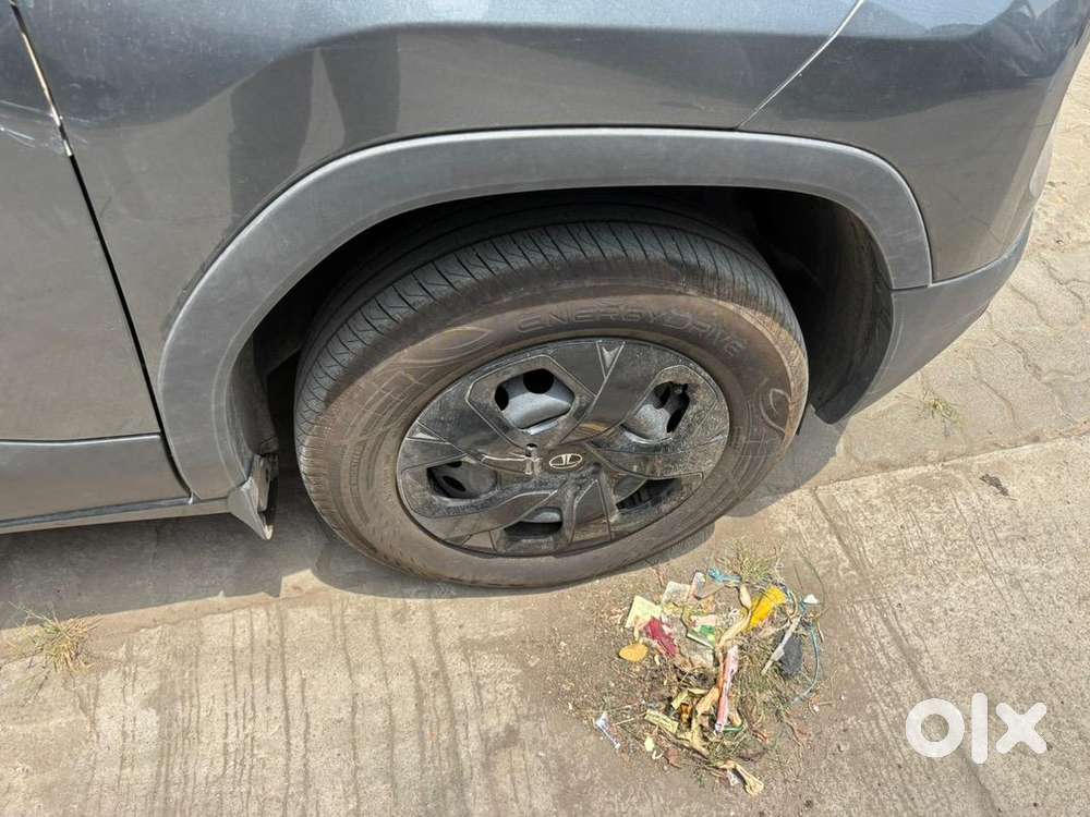Reliable Tata Petrol 2025