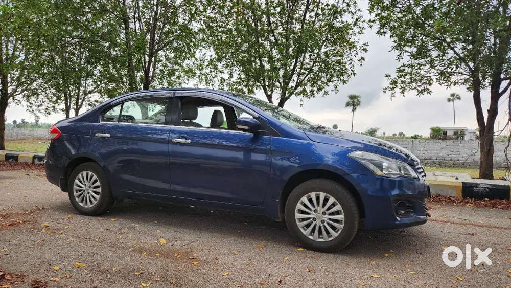 Ciaz Maruti Suzuki 2017,