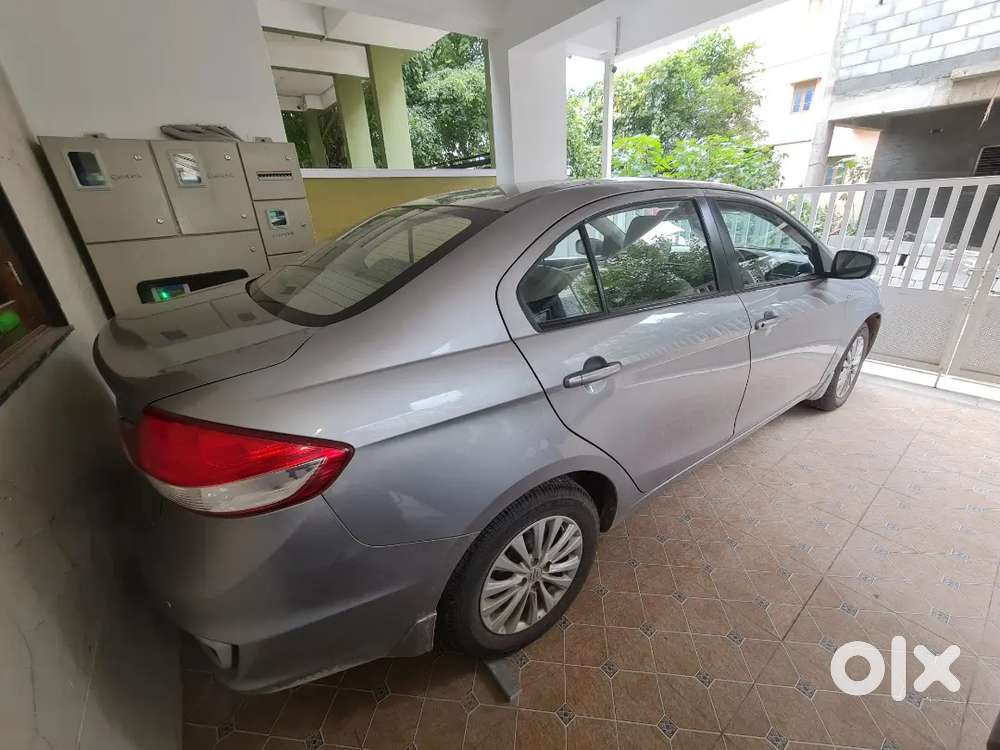 Ciaz Delta 1.5 2019