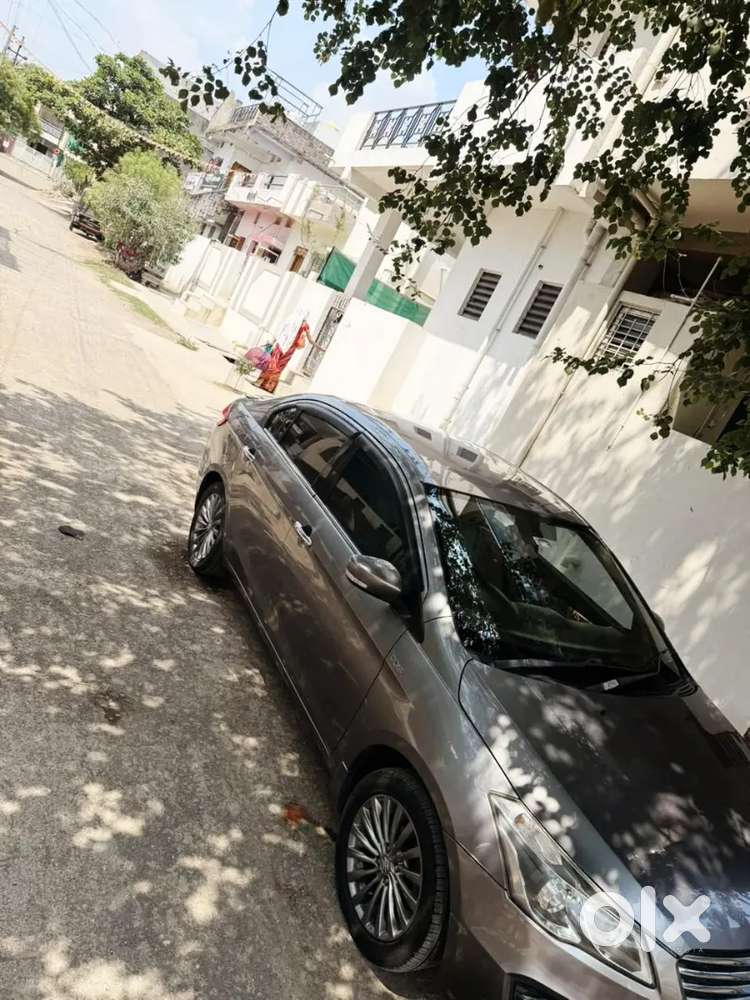 Ciaz Alpha Diesel Hybrid