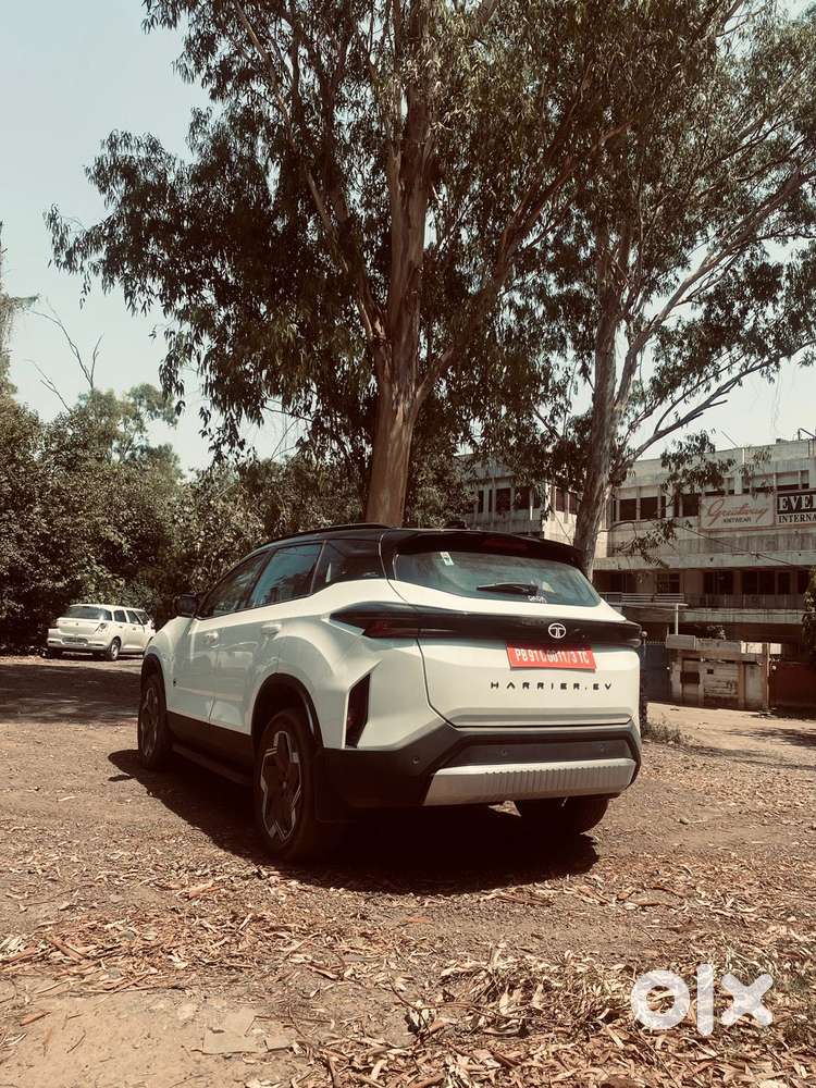 Tata Harrier Ev Xz, 2025, Electric