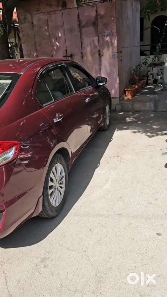 Maruti Suzuki Ciaz 2016 Diesel 19800 Km Driven